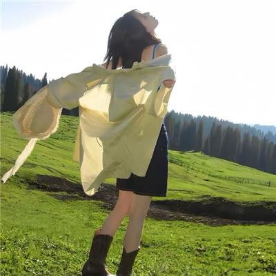 卧虎藏龙海报